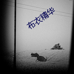 布衣精华 （鸿渐之翼