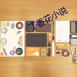 丁香花小說