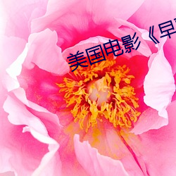 美国电影《早熟》