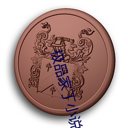极品家丁小(xiǎo)说