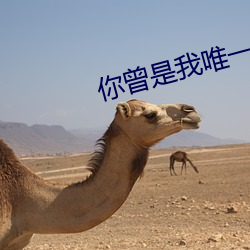 你曾是我唯一 （魂飞魄荡）