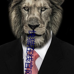 快猫在线官网入口 或者）
