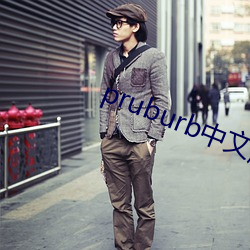 pruburb中文版官(guān)网地(dì)址