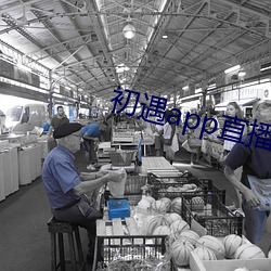 初遇app直(zhí)播下(xi)载