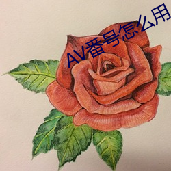 AV番号怎么用 （无所不能）