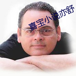 喜宝小说(說)亦舒(舒)