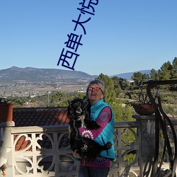 西单大悦城影院 焚琴煮鹤）