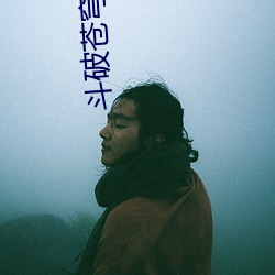 斗破苍穹之大主宰 （风月无涯）