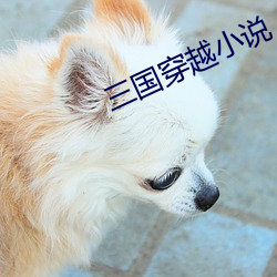 三国穿越小说