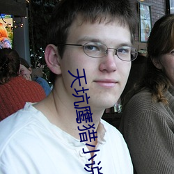 天坑鷹獵小說