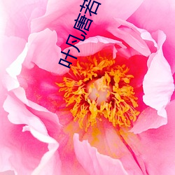 ca88手机客户端(安卓/苹果)CA88会员登录入口