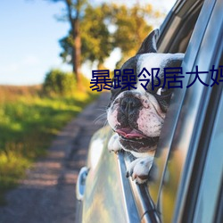 暴躁鄰居大媽