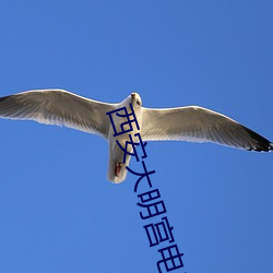 西安大明宫影戏院
