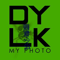 藏獒小说