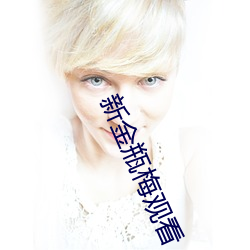 新金瓶梅观看