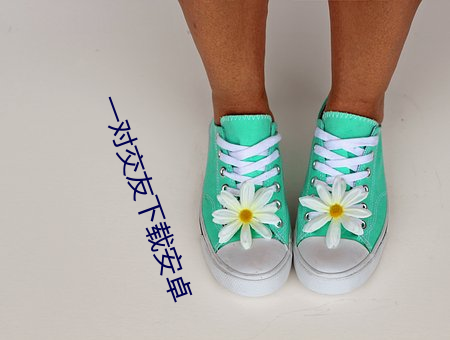 一对交友下(xià)载安(ān)卓