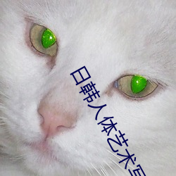 日韓人體藝術寫真