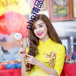 php精品源码