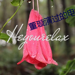 董璇演过的电视剧