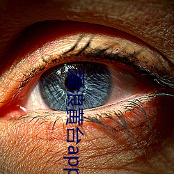 爱(ài)浪黄台(tái)app大(dà)秀(xiù)