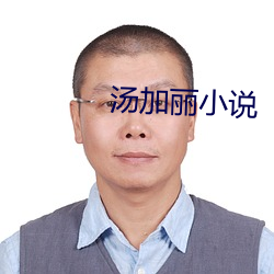 汤加丽小说