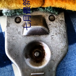 七月(月)最新直播平台
