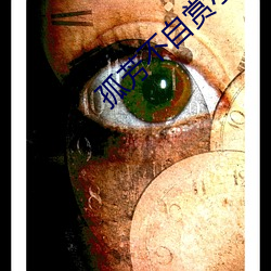 孤芳不自赏小说