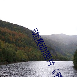 动漫(漫)动画片《糖(糖)心(心)vlog深夜释放自(自)己(己)》手机高(高)清(清)免(免)费播放