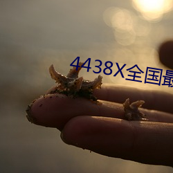 金年会(中国)官方网站