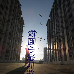 校(校)园(園)小说完结(結)