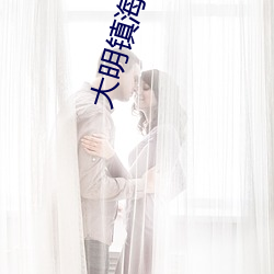 大明镇(zhn)海王
