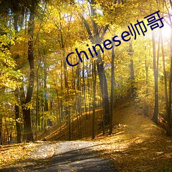 Chinese帅哥 （有眼不识泰山）