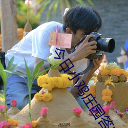 今(今)日小(小)鸡庄园(園)答案(案)4.1 今日(日)小鸡庄园答题的(的)答(答)案(案)2023