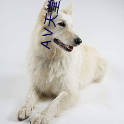 Ⅴ天堂资源网(wǎng)