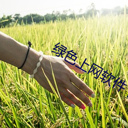 綠色上網軟件下載