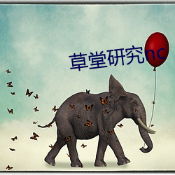 草堂研究nc （松紧带）