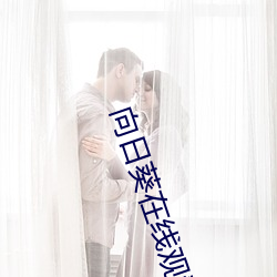 向(向)日葵在线(線)观看