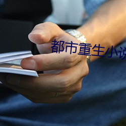 都市重生小说 （续凫断鹤）