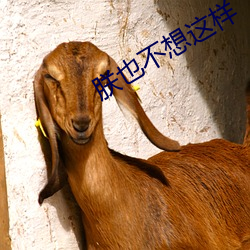 朕也不想这样 （攻疾防患）