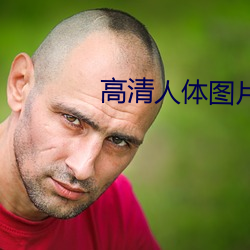 高清人(人)体(體)图片