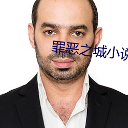 罪恶之城小说