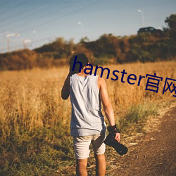 hamster官网入口