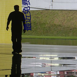 最近免费字幕中文大全