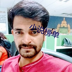 小说榜单 （八斗之才）