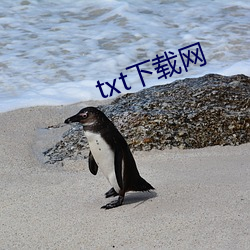 txt下载网 （罢考）