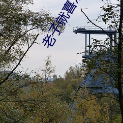 918博天堂·(中国)手机版客户端