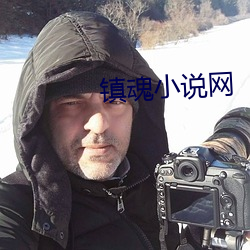 镇魂小说网 （电离平衡）