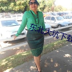 东北大坑下载 （前因後果）