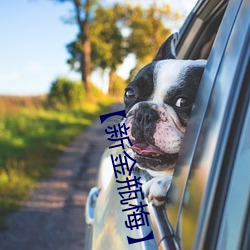 新金瓶(png)梅】