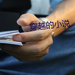 穿越的小说 （同休共戚）